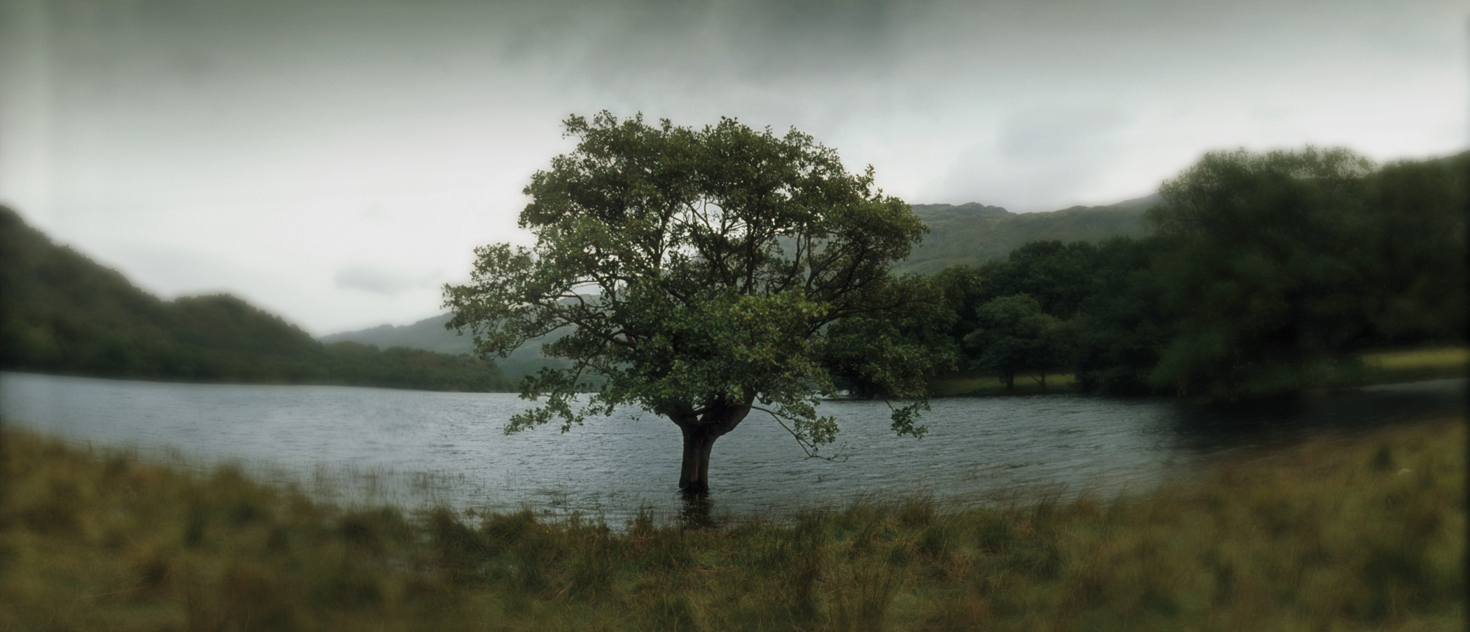 Serie. el abrazo de la naturaleza, (ed.5), 2011, c-print, 100 X 220 cm. 